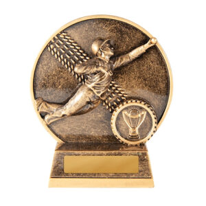 Cricket Heritage Fielder