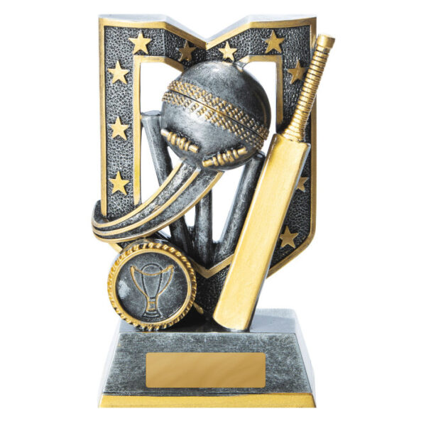 Aegis Cricket