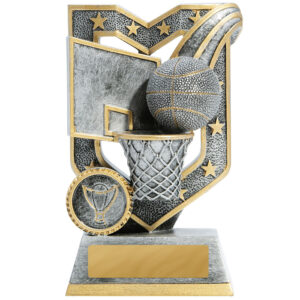 Aegis Basketball