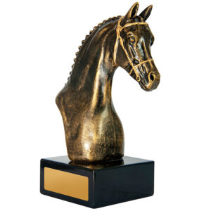 Horsehead Distinction