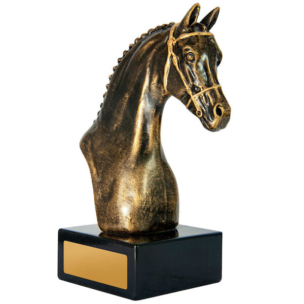 Horsehead Distinction