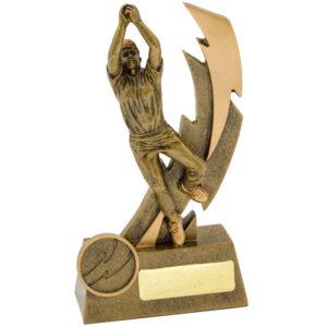 Cricket Shazam Female Fielder