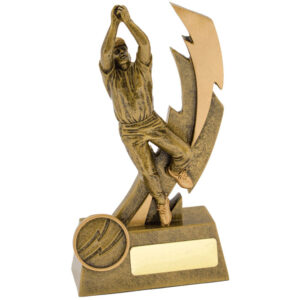 Cricket Shazam Male Fielder