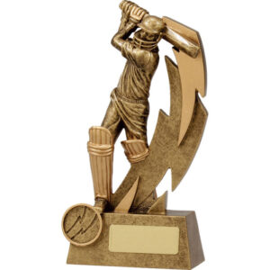 Cricket Shazam Male Batsman