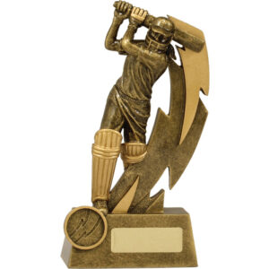 Cricket Shazam Female Batting