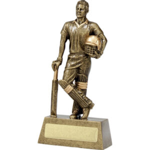 Hero Batsman