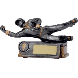Cricket Diving Fielder