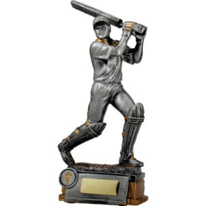 Cricket Batsman