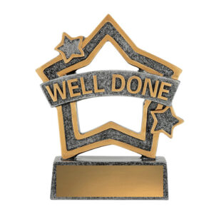 Rally Mini Star Well Done
