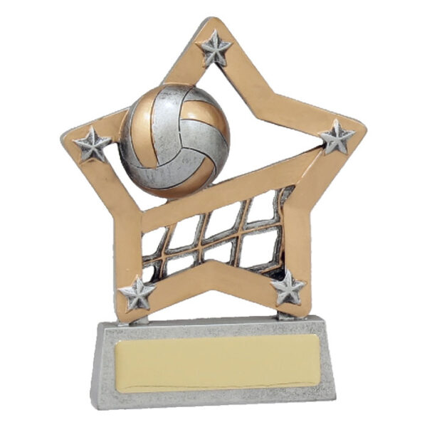 Volleyball Mini Star
