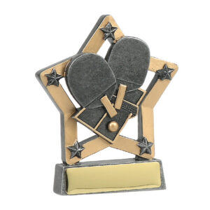 Mini Star Table Tennis