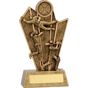 Cricket All-Rounder