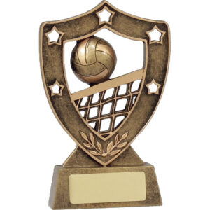 Volleyball Gold Shield
