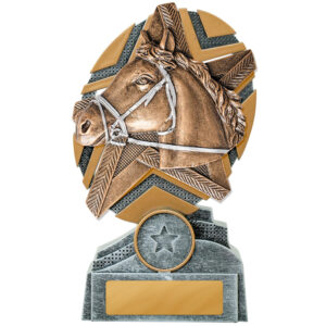 Starburst Horse / Equestrian