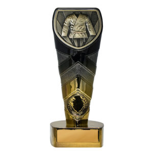 Fusion Cobra Martial Arts / Karate