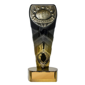 Fusion Cobra 1st Place