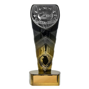 Fusion Cobra 2nd Place