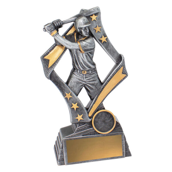 Flag Male Baseball / Softball