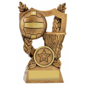 Netball Alpha Shield
