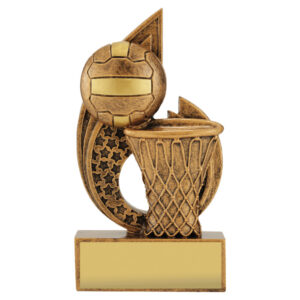 Pulse Netball