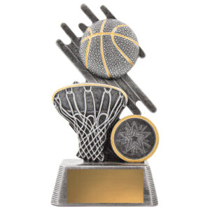 Zoom Basketball Theme