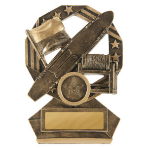 Bronzed Series Surf Life Saving