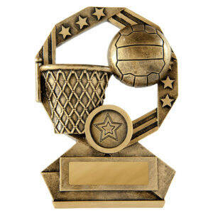 Bronzed Aussie Netball
