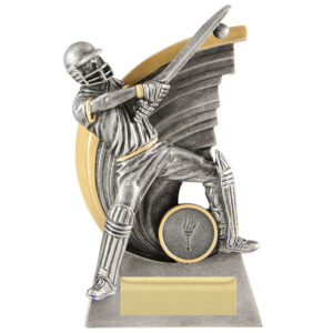 Cricket Kaboom Batsman