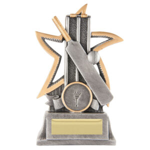 Silver Star Cricket