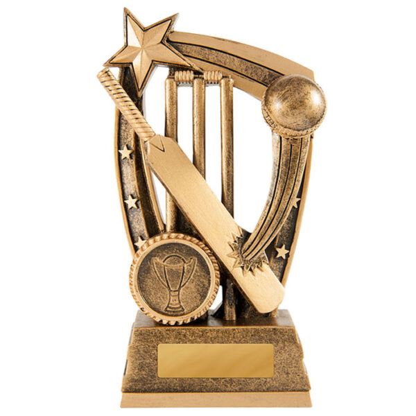 Maverick Series Cricket