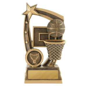 Maverick Series Basketball