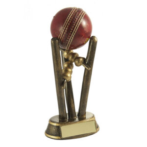 Cricket Ball Holder