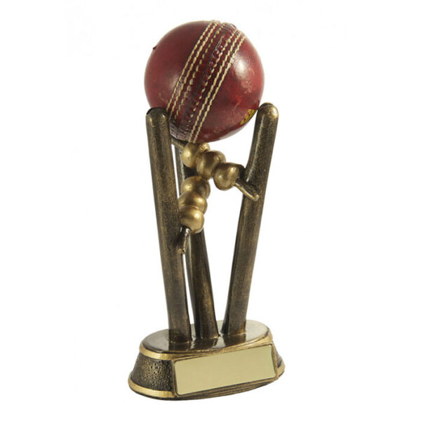 Cricket Ball Holder