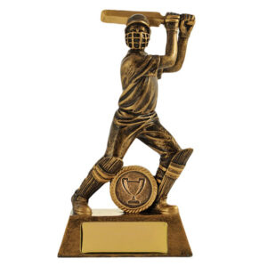 Action Hero Male Batsman