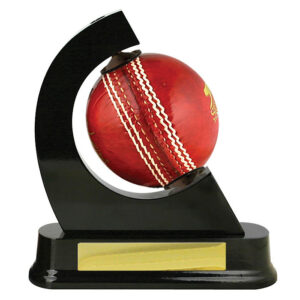 Spinning Cricket Ball Holder