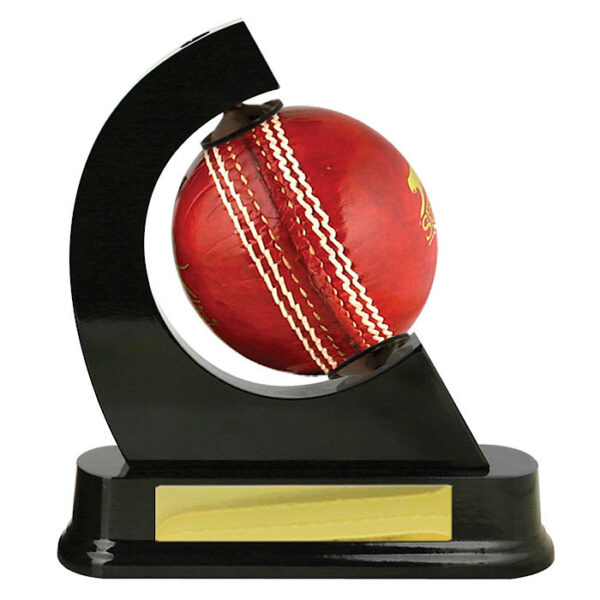 Spinning Cricket Ball Holder
