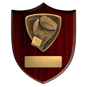 Nova Shield Boxing