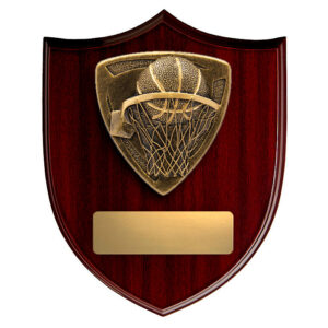 Nova Shield Basketball