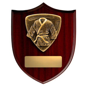Nova Shield Martial Arts / Karate
