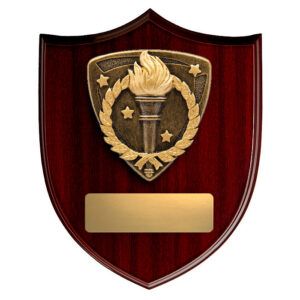 Nova Shield Achievement