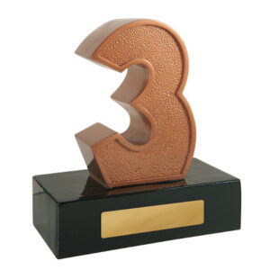 Achievement 3rd Place Bronze