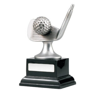 Golf Silver Iron