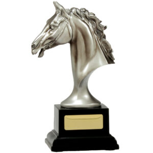 The Silver Horse Head