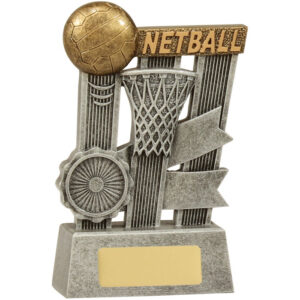 Netball Silver Ribbon