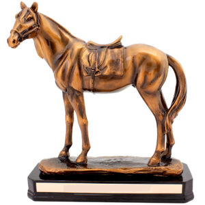 Track Champion Horse