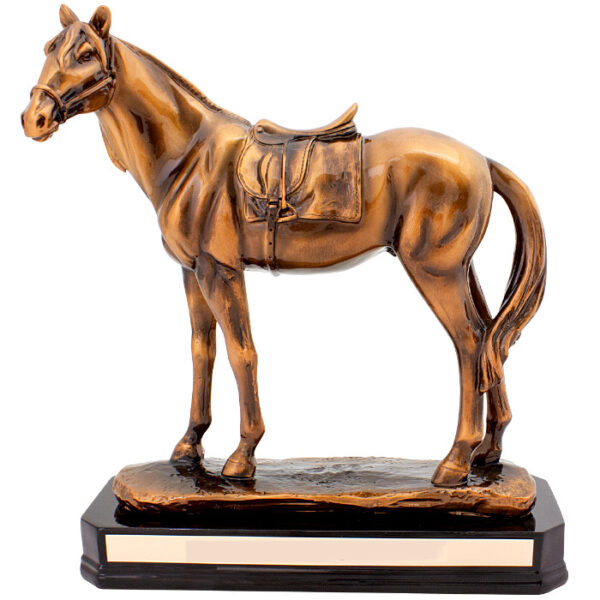 Track Champion Horse
