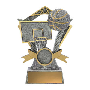 Valour Basketball