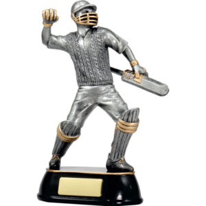Cricket Celebration