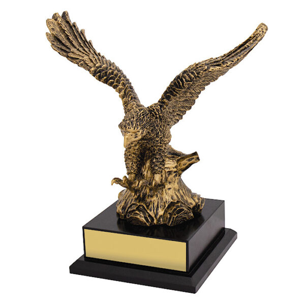 Soaring Success Eagle