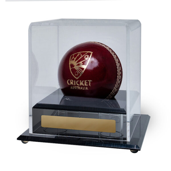 Acrylic Display Case – Cricket